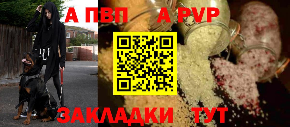 Альфа ПВП СК КРИС Петропавловск-Камчатский