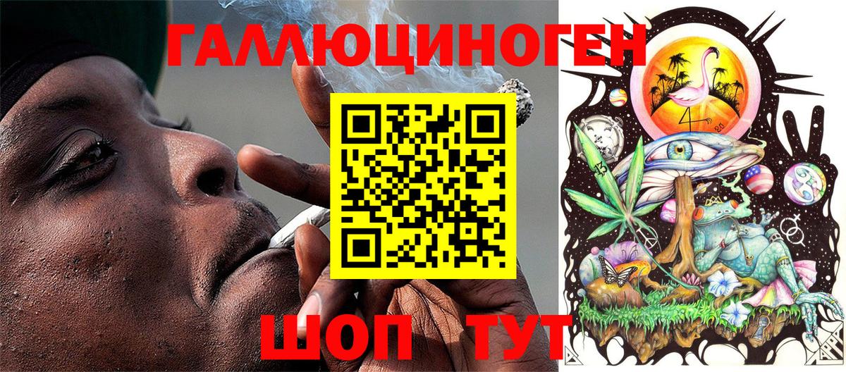 Псилоцибиновые грибы мухоморы Петропавловск-Камчатский