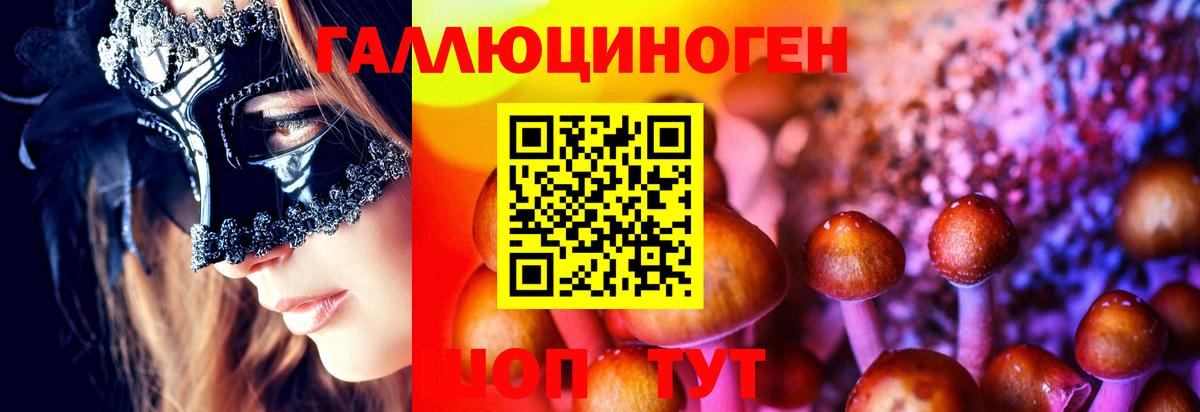 Петропавловск-Камчатский  Галлюциногенные грибы прущие грибы  наркотики  Вход с VPN  Галлюциногенные грибы ЛСД 